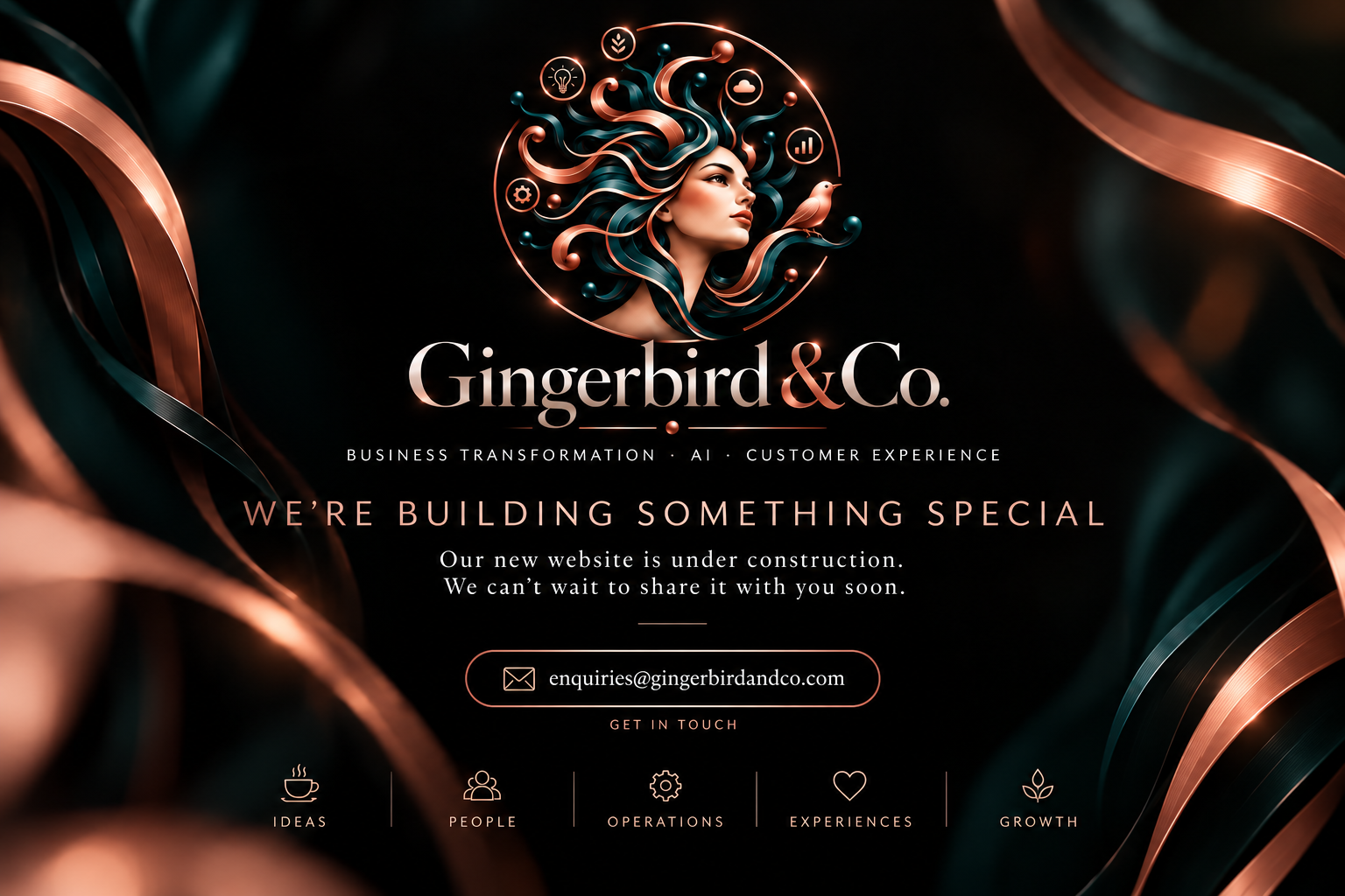 Gingerbird & Co. Business Transformation, AI and Customer Experience. We're building something special. Our new website is under construction. We can't wait to share it with you soon. Contact enquiries@gingerbirdandco.com.